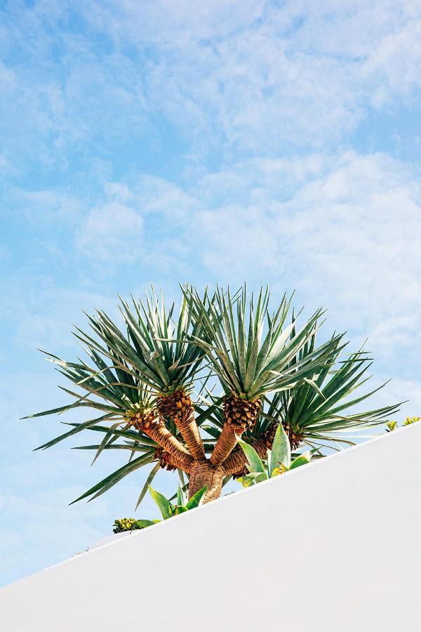 Hotel The Surf Yamba Exterior foto